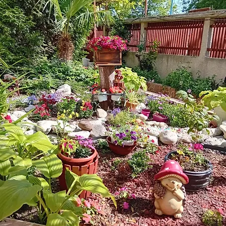 Urdoviza 3* キテン